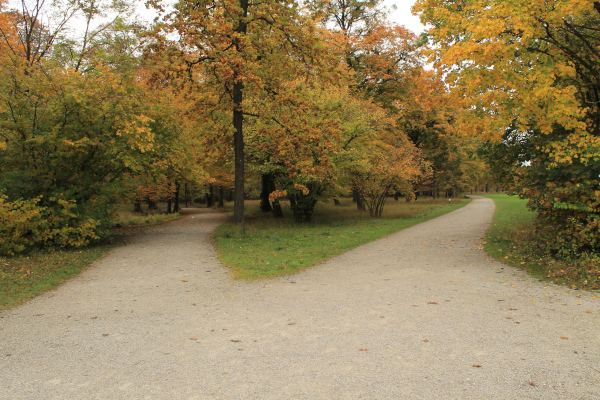 Bivio nel parco di Nymphenburg