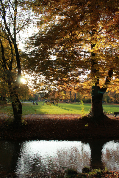 Englischer Garten in autunno