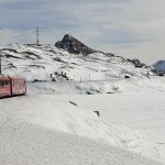 Treno del Bernina in evidenza