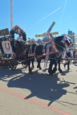 Oktoberfest parata della domenica