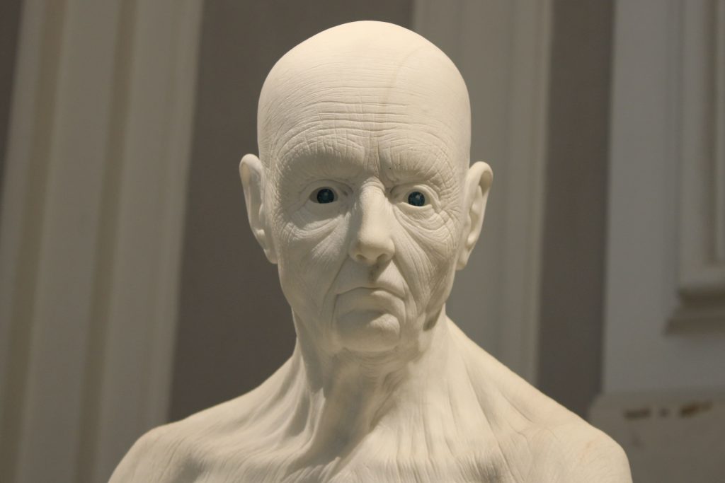 Museo di Jago particolare statua di Venere